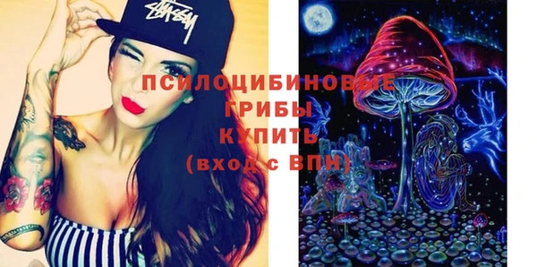 спиды Абаза