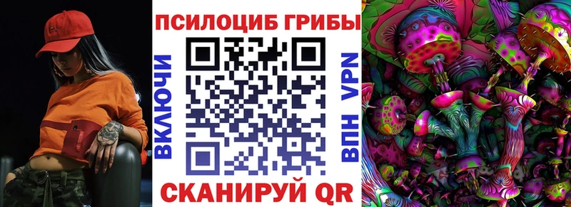 Псилоцибиновые грибы Psilocybe  кракен ссылки  Ак-Довурак 